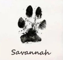 Load image into Gallery viewer, Ink-free pet paw & baby hand/foot print pad | non-toxic